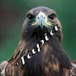 Aguila Real